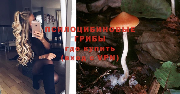 гашиш Арсеньев