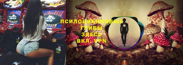 гашиш Арсеньев