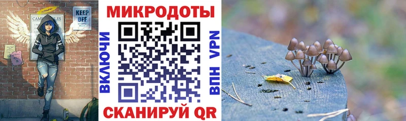 Галлюциногенные грибы Psilocybe  Верхнеуральск 