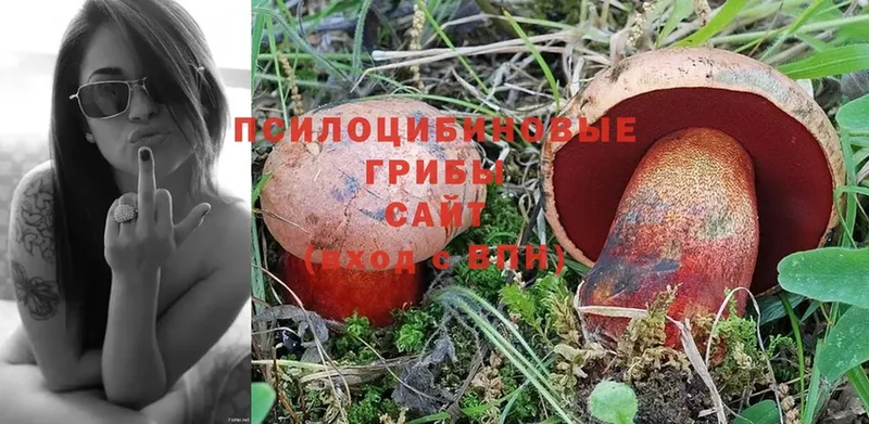 где можно купить наркотик  Верхнеуральск  Псилоцибиновые грибы MAGIC MUSHROOMS 